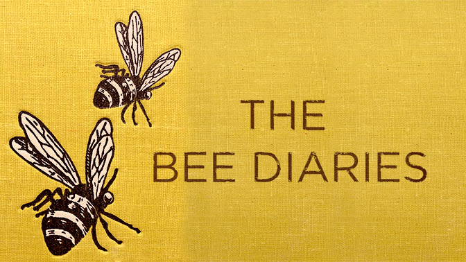 THE BEE DIARIES