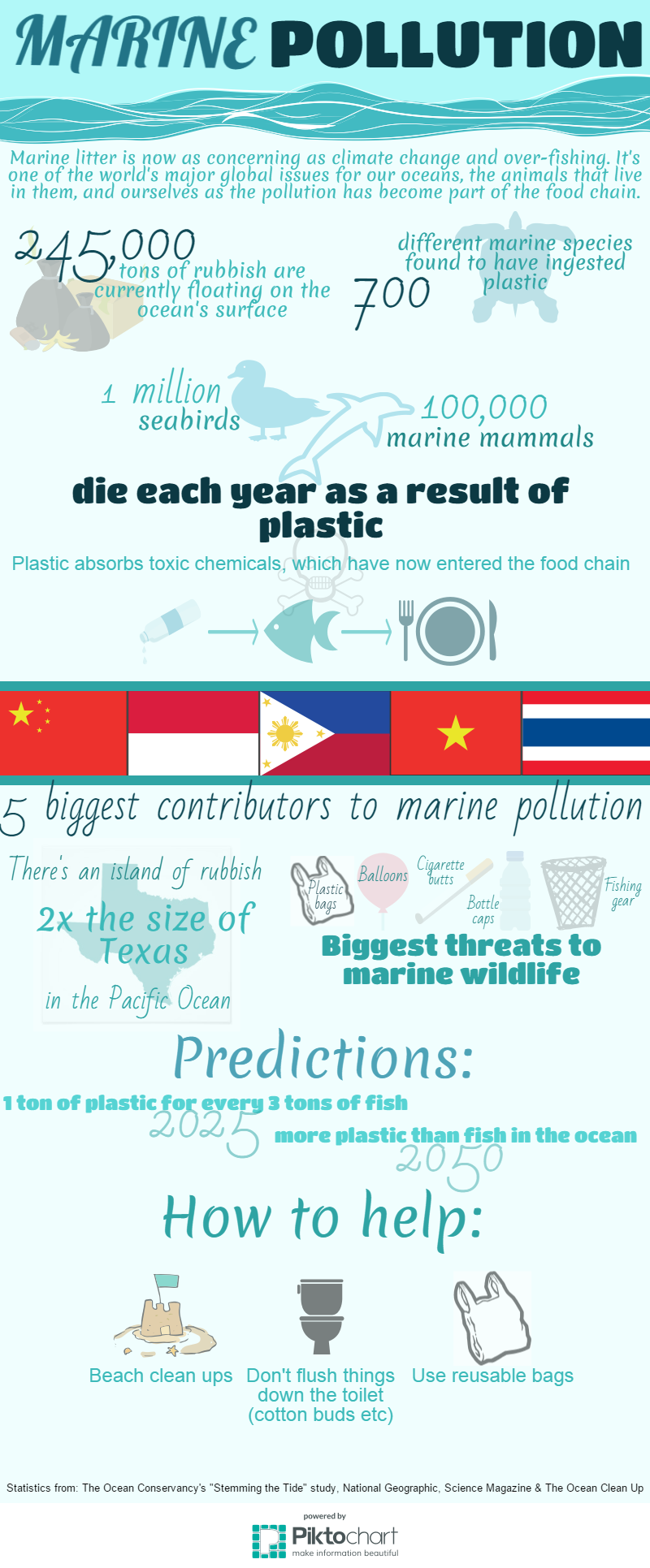 Dorset Wildlife Trust - marine pollution