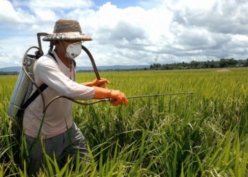 Man spraying Pesticides