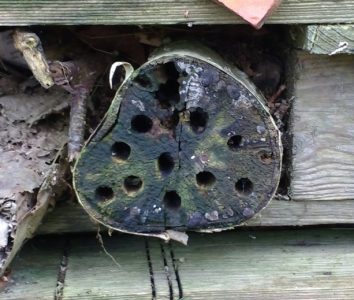 Bee Hotel