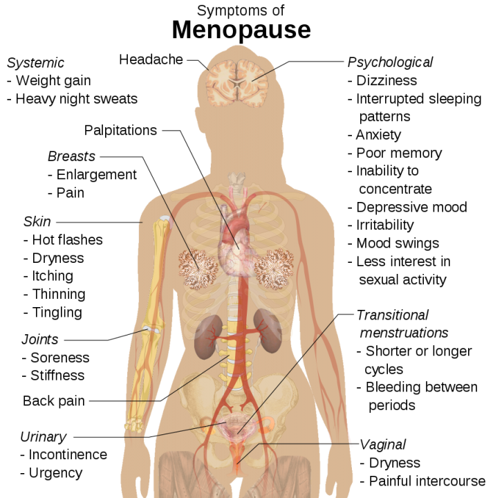 Diagram showing the symptoms of the menopause