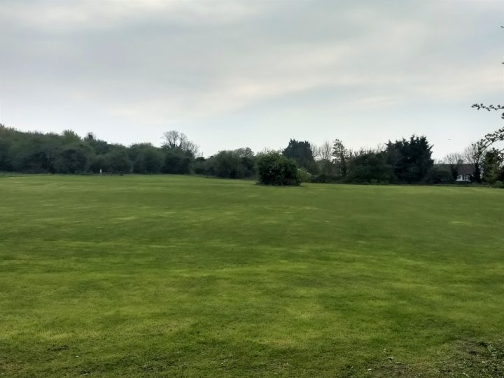 The vast green space on offer at The Glen on the Isle of Sheppey where the bee safari was underway. 