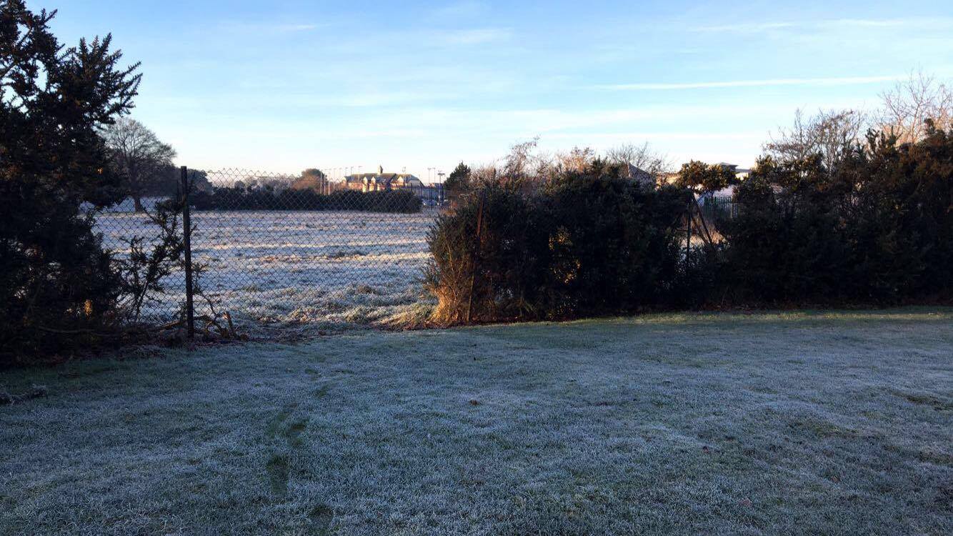 Picture of Frosty Sunny Morning