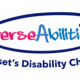 Credit: Diverse Abilities Charity