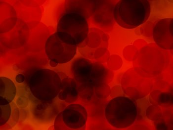 Photo of blood cells