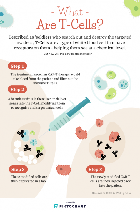 Infogram describing function of T-Cells and CAR-T Therapy. Credit: Georgina Barnes