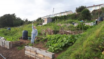 Phil and daughter at allotment