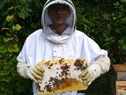 A man in a white beekeeping suit holding a bees