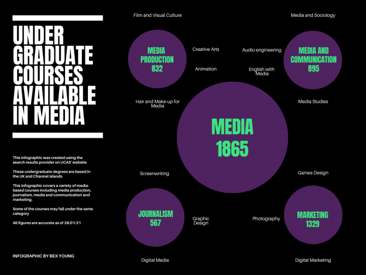 Infographic showing numbers and types of media-based courses at an undergraduate level