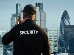 A security guard overlooking the London skyline
