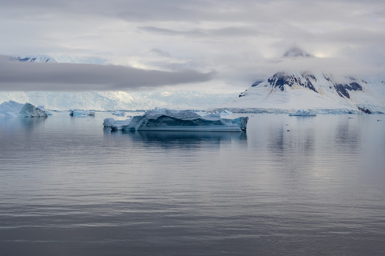 Гренландия 4 млн лет назад. Пейзаж Антарктиды сотни миллионов лет назад. Антарктида темное фото.