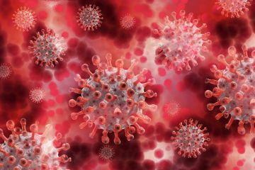 A picture of the coronavirus