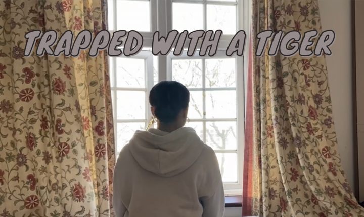 Trapped with a Tiger - video cover