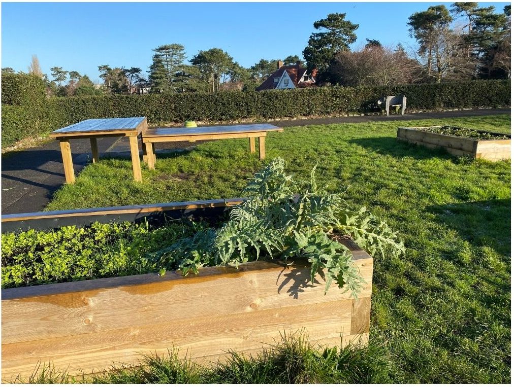 Photo of raised garden beds at Winton Recreation ground , photo by Clare Stephenson