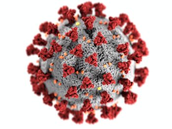 Visualisation of Coronavirus