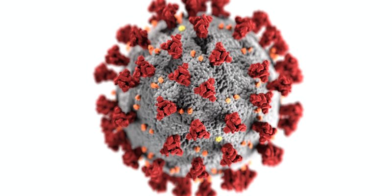 Visualisation of Coronavirus