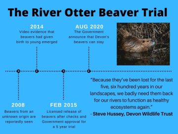 The River Otter Beaver Trial