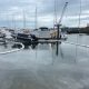 Poole Harbour oil spill