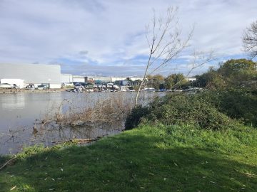 Sewage ends up here on the Avon, which flows directly into Christchurch Harbour.