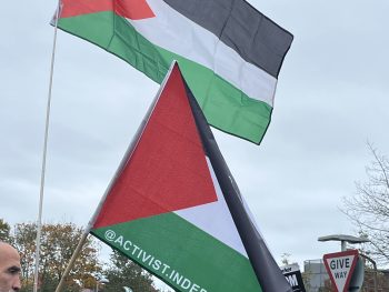 Palestine flag being held at a protest. Photo taken by Haagra Hosenbocus