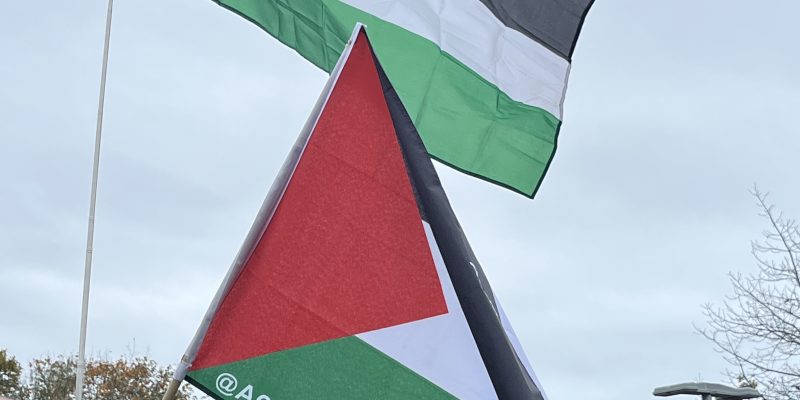 Palestine flag being held at a protest. Photo taken by Haagra Hosenbocus