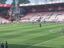 picture of vitality stadium