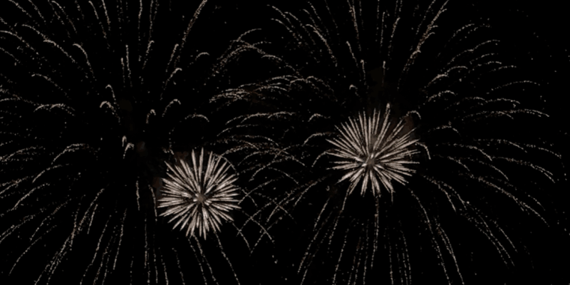 Image Credit - Holly Charley