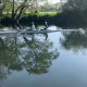2 rowers on the river