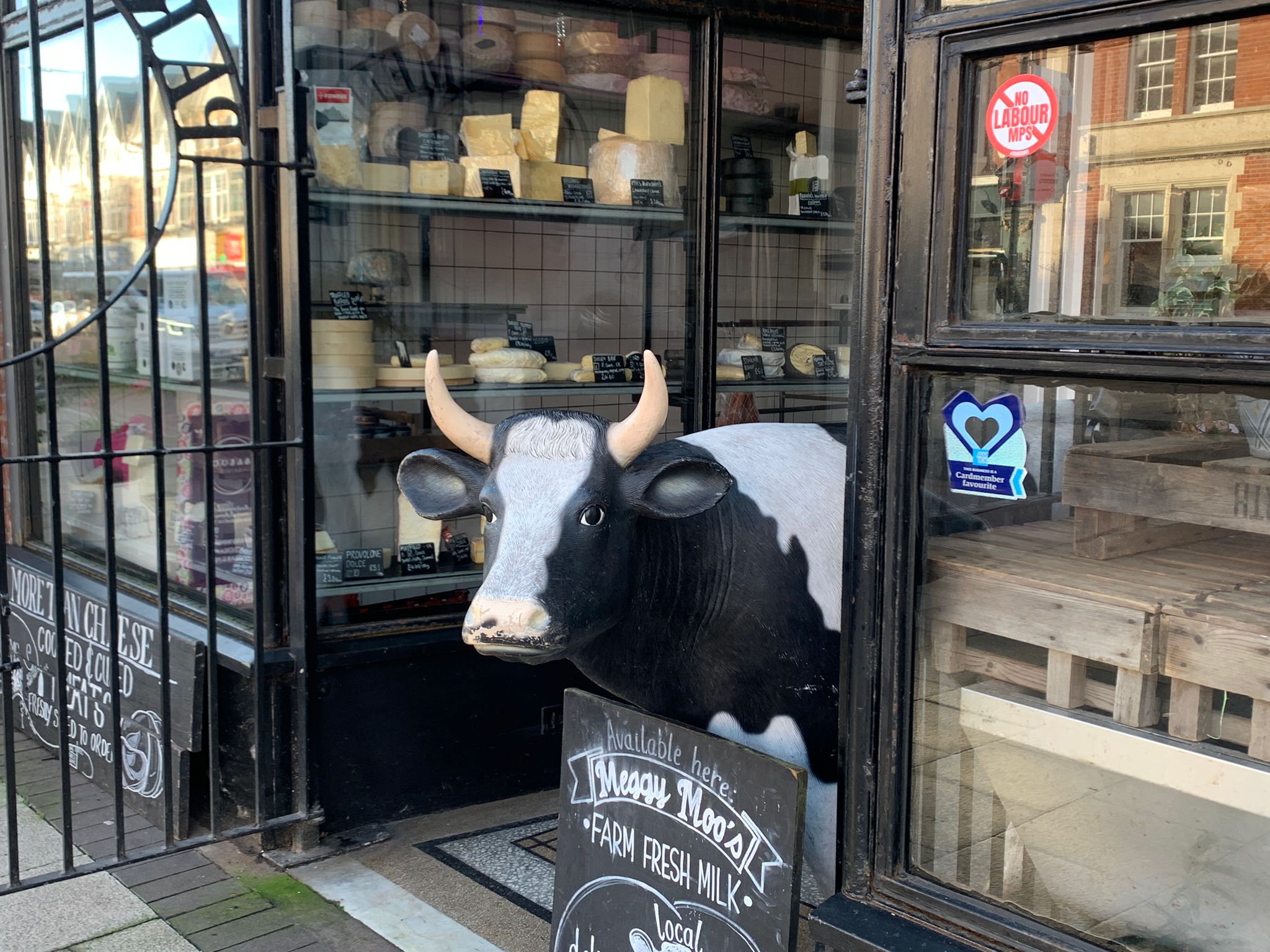 Fake cow outside cheese shop.