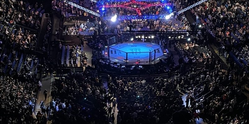 The UFC octagon