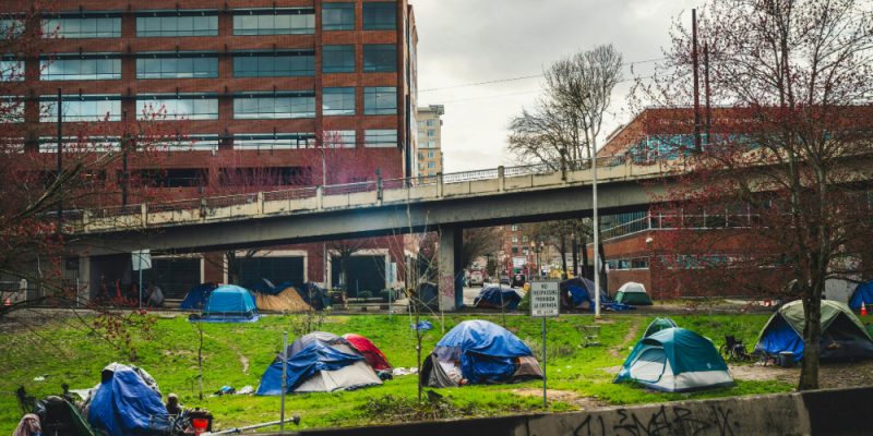 image of multiple blue homeless tents on a patch of grass