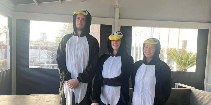 three people dressed as penguins